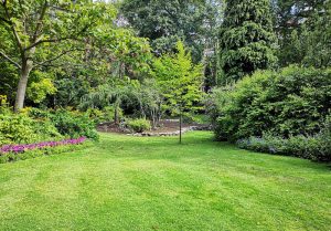 Optimiser l'expérience du jardin à Breux